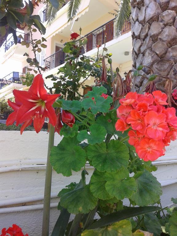 Aggeliki Apartments Nikiana Room photo